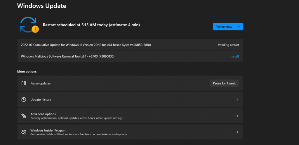 (KB5015818) Windows 11 22H2 Build 22621.232 1 KB5015818